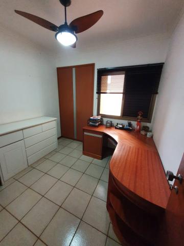 imagem 4 - Apartamentos - Padrão imagem 4 - Apartamentos - Padrão