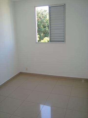 imagem 3 - Apartamentos - Padrão imagem 3 - Apartamentos - Padrão