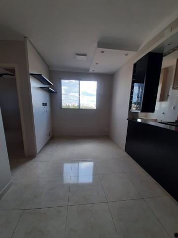 imagem 2 - Apartamentos - Padrão imagem 2 - Apartamentos - Padrão