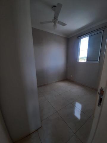 imagem 3 - Apartamentos - Padrão imagem 3 - Apartamentos - Padrão