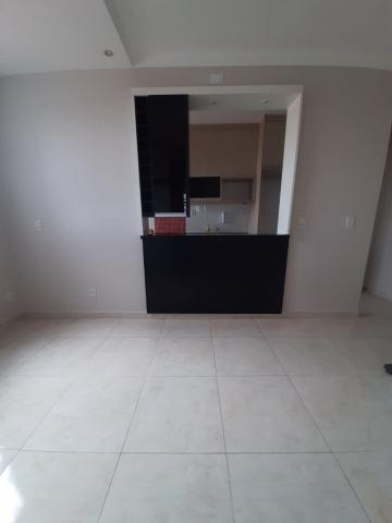 imagem 4 - Apartamentos - Padrão imagem 4 - Apartamentos - Padrão