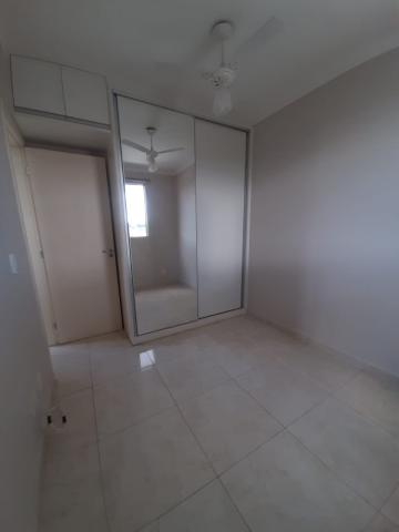 imagem 5 - Apartamentos - Padrão imagem 5 - Apartamentos - Padrão