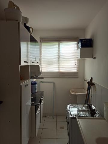 imagem 3 - Apartamentos - Padrão imagem 3 - Apartamentos - Padrão