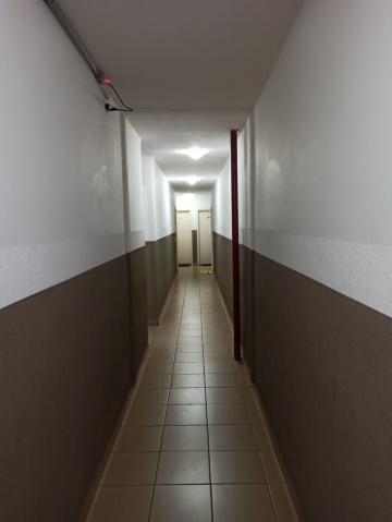 imagem 4 - Apartamentos - Padrão imagem 4 - Apartamentos - Padrão