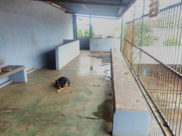 imagem 4 - Imóveis Comerciais - Galpão Comercial imagem 4 - Imóveis Comerciais - Galpão Comercial