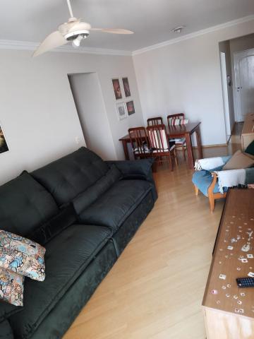imagem 5 - Apartamentos - Padrão imagem 5 - Apartamentos - Padrão