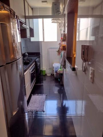 imagem 3 - Apartamentos - Padrão imagem 3 - Apartamentos - Padrão
