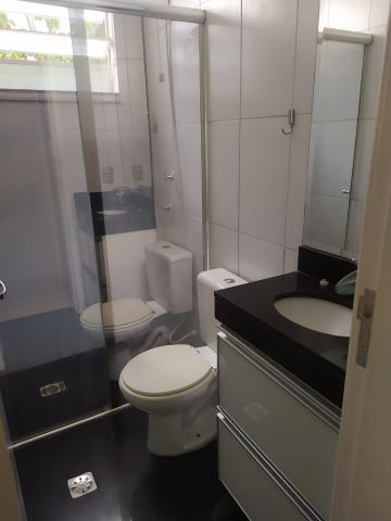 imagem 2 - Apartamentos - Padrão imagem 2 - Apartamentos - Padrão
