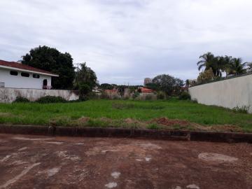 Alugar Terrenos / Lote / Terreno em Ribeirão Preto. apenas R$ 550.000,00