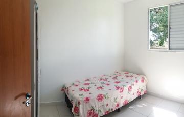imagem 5 - Apartamentos - Padrão imagem 5 - Apartamentos - Padrão