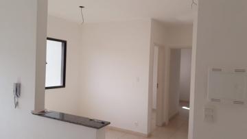 imagem 5 - Apartamentos - Padrão imagem 5 - Apartamentos - Padrão