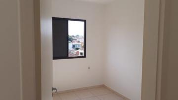 imagem 4 - Apartamentos - Padrão imagem 4 - Apartamentos - Padrão