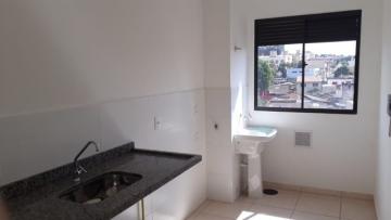 imagem 3 - Apartamentos - Padrão imagem 3 - Apartamentos - Padrão