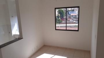 imagem 2 - Apartamentos - Padrão imagem 2 - Apartamentos - Padrão