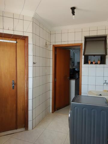 imagem 4 - Apartamentos - Padrão imagem 4 - Apartamentos - Padrão