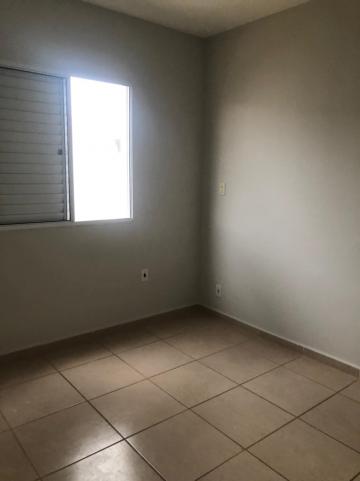 imagem 2 - Apartamentos - Padrão imagem 2 - Apartamentos - Padrão