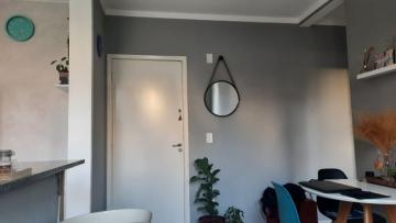 imagem 3 - Apartamentos - Padrão imagem 3 - Apartamentos - Padrão