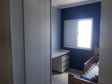 imagem 3 - Apartamentos - Padrão imagem 3 - Apartamentos - Padrão