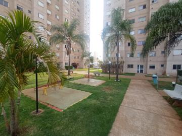 imagem 5 - Apartamentos - Padrão imagem 5 - Apartamentos - Padrão