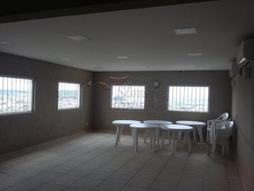 imagem 4 - Apartamentos - Padrão imagem 4 - Apartamentos - Padrão