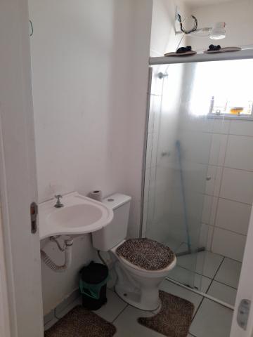 Apartamento - Parque das Andorinhas