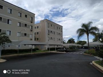 imagem 2 - Apartamentos - Padrão imagem 2 - Apartamentos - Padrão