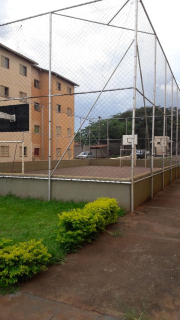 imagem 3 - Apartamentos - Padrão imagem 3 - Apartamentos - Padrão