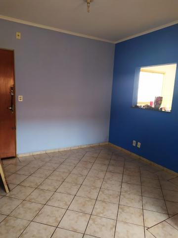 imagem 5 - Apartamentos - Padrão imagem 5 - Apartamentos - Padrão
