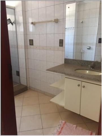 imagem 5 - Apartamentos - Padrão imagem 5 - Apartamentos - Padrão