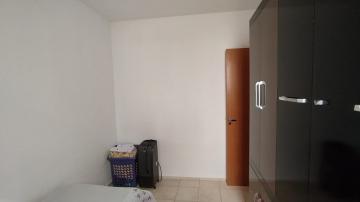 imagem 5 - Apartamentos - Padrão imagem 5 - Apartamentos - Padrão