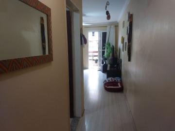 imagem 3 - Apartamentos - Padrão imagem 3 - Apartamentos - Padrão