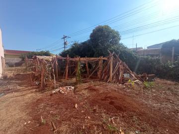 imagem 3 - Terrenos - LoteTerreno imagem 3 - Terrenos - LoteTerreno