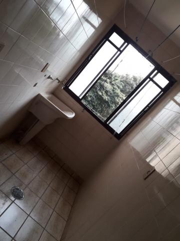 imagem 5 - Apartamentos - Padrão imagem 5 - Apartamentos - Padrão