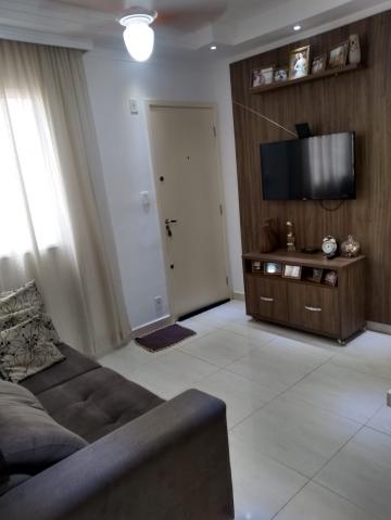 imagem 5 - Apartamentos - Padrão imagem 5 - Apartamentos - Padrão