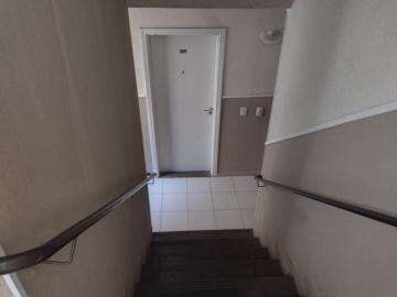 imagem 4 - Apartamentos - Padrão imagem 4 - Apartamentos - Padrão