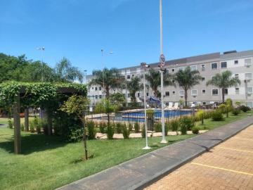 imagem 2 - Apartamentos - Padrão imagem 2 - Apartamentos - Padrão