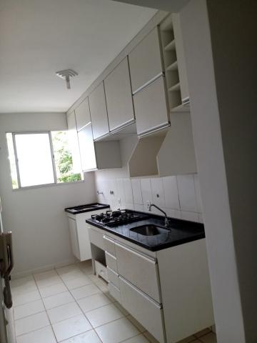 imagem 3 - Apartamentos - Padrão imagem 3 - Apartamentos - Padrão