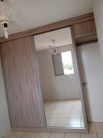 imagem 5 - Apartamentos - Padrão imagem 5 - Apartamentos - Padrão