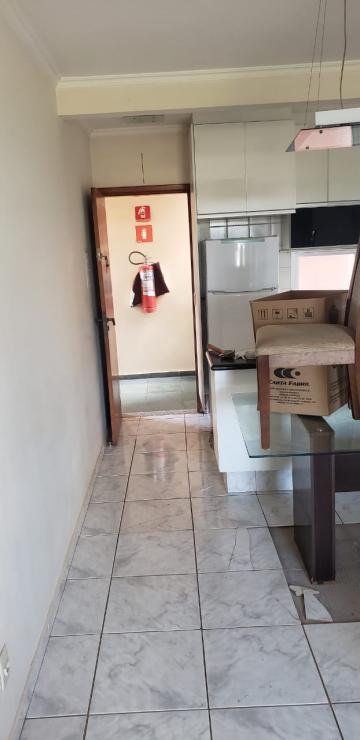 imagem 3 - Apartamentos - Padrão imagem 3 - Apartamentos - Padrão