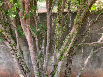 imagem 4 - Terrenos - Condomínio imagem 4 - Terrenos - Condomínio