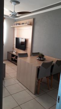 imagem 5 - Apartamentos - Padrão imagem 5 - Apartamentos - Padrão