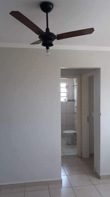 imagem 3 - Apartamentos - Padrão imagem 3 - Apartamentos - Padrão