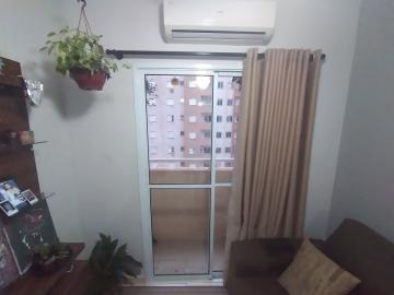 imagem 5 - Apartamentos - Padrão imagem 5 - Apartamentos - Padrão