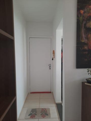 imagem 3 - Apartamentos - Padrão imagem 3 - Apartamentos - Padrão