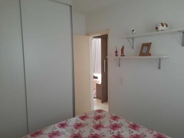 imagem 4 - Apartamentos - Padrão imagem 4 - Apartamentos - Padrão