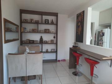 imagem 2 - Apartamentos - Padrão imagem 2 - Apartamentos - Padrão
