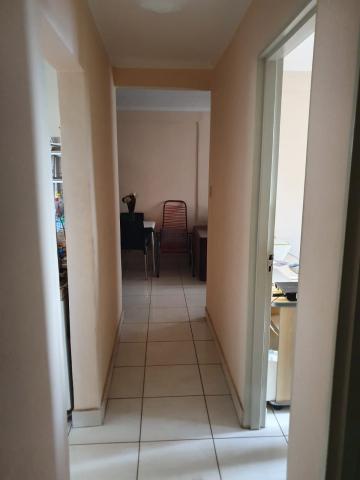 imagem 2 - Apartamentos - Padrão imagem 2 - Apartamentos - Padrão
