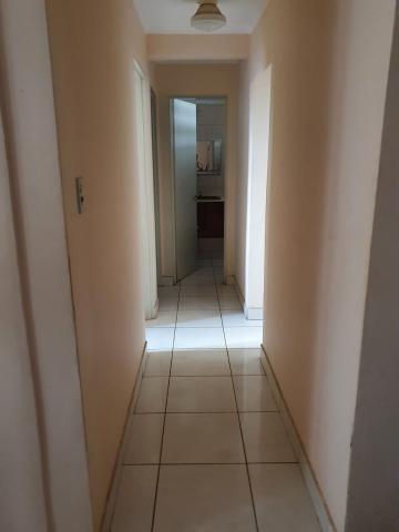 imagem 5 - Apartamentos - Padrão imagem 5 - Apartamentos - Padrão