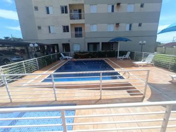imagem 2 - Apartamentos - Padrão imagem 2 - Apartamentos - Padrão