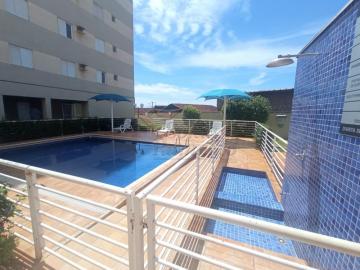 imagem 3 - Apartamentos - Padrão imagem 3 - Apartamentos - Padrão